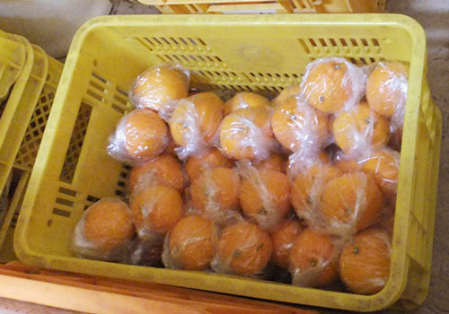 熊本県産不知火（しらぬい）