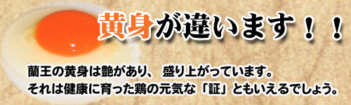蘭王こだわりのたまご