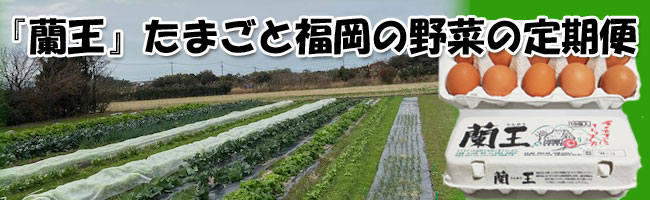 蘭王たまごと野菜セット